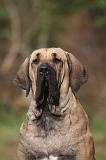 FILA BRASILEIRO 192